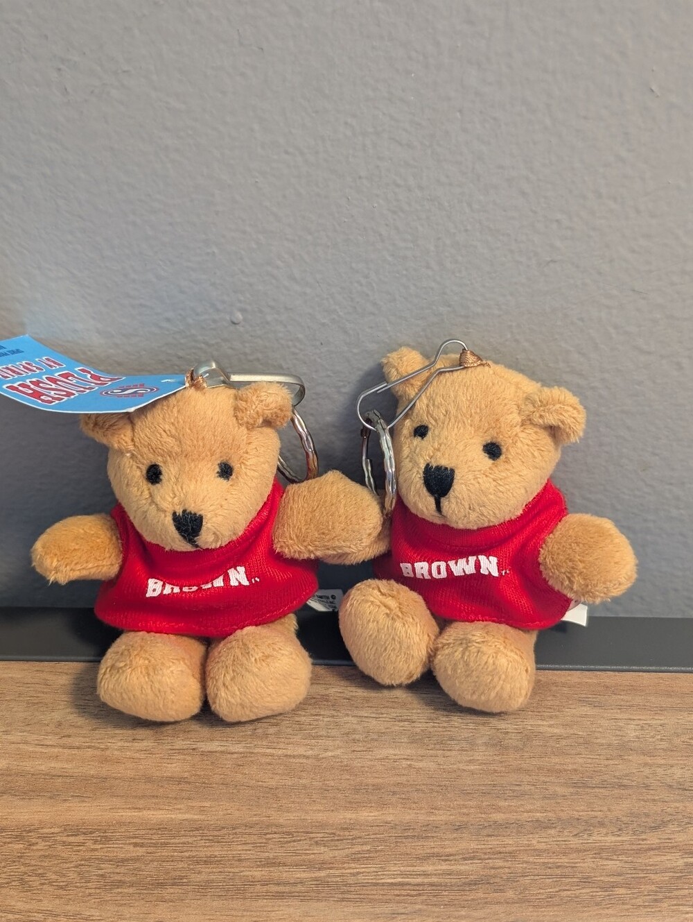 Brown University Plush Bruno Bear Keychain - Red Shirt College Memorabilia Set 2